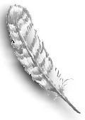 feather